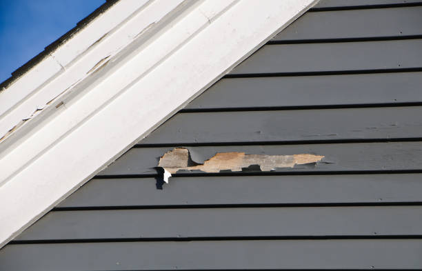 Best Demolition Debris Removal  in Breckinridge Center, KY